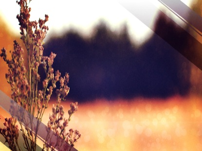 COUNTRY AUTUMN MOTION 06