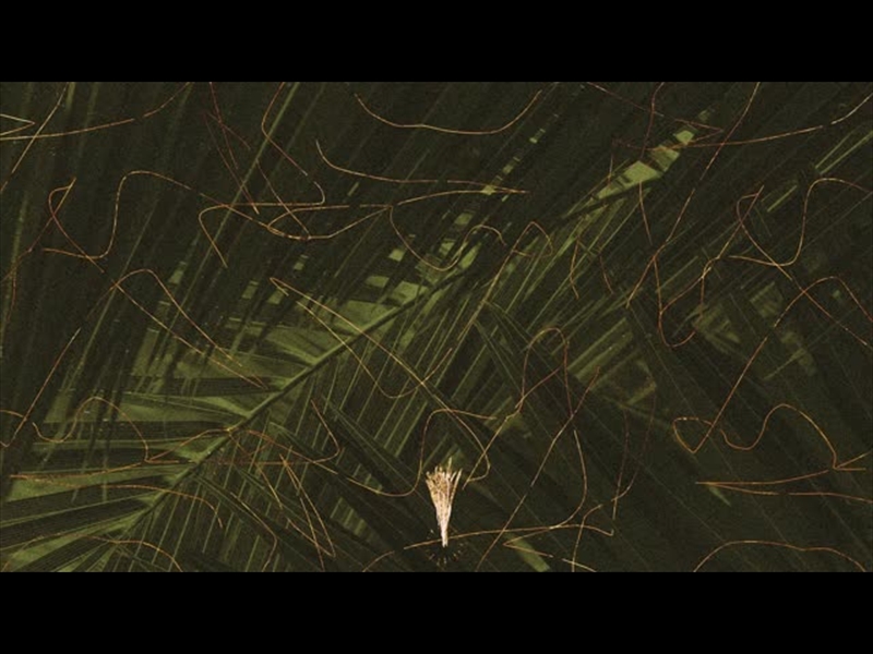 A CROSS A GRAVE A HOPE: 11