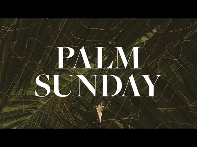 A CROSS A GRAVE A HOPE: PALM SUNDAY