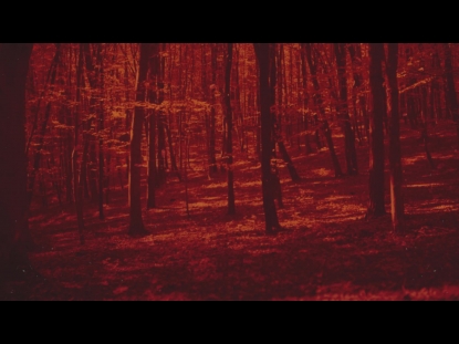 AUTUMN LEAVES ORANGE