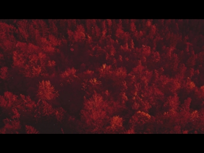 AUTUMN LEAVES ORANGE ALT