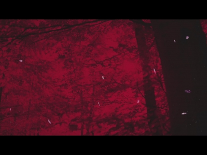 AUTUMN LEAVES RED ALT