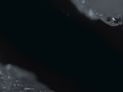 BLACK AND WHITE BOKEH