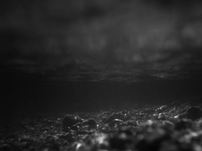 BLACK AND WHITE CAUSTIC