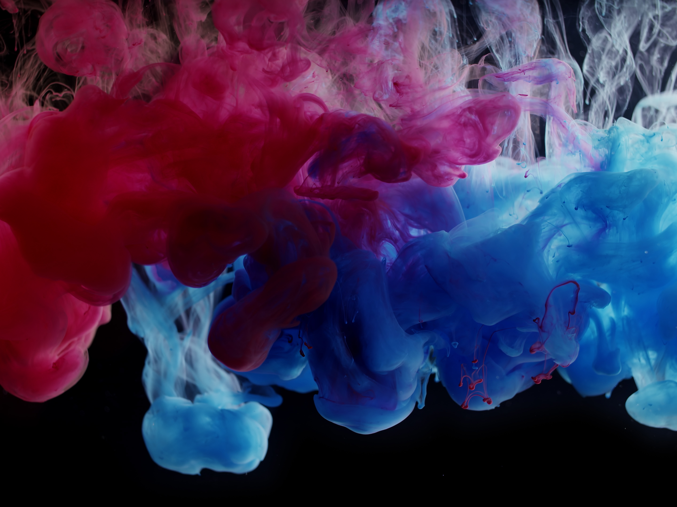 BLUE AND RED B (LONG PLAY)