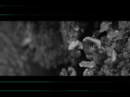 BW CLIFFSIDE TEAL GEO