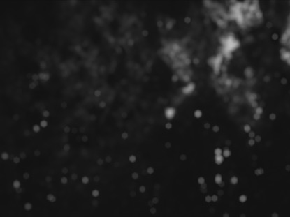 BLACK AND WHITE DARK GLITTER