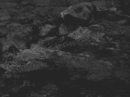 BLACK AND WHITE POOL