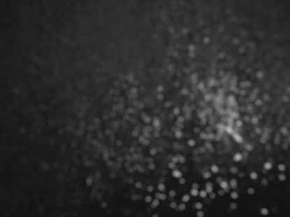 BLACK AND WHITE SMOOTH