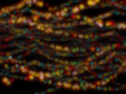 CHRISTMAS BLOCK PARTY A