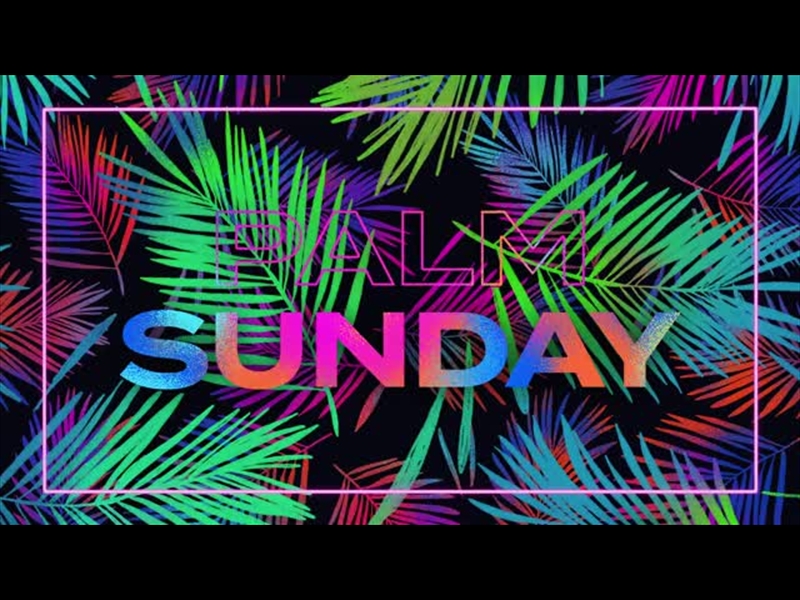 DARKNESS TURNED TO LIGHT: PALM SUNDAY