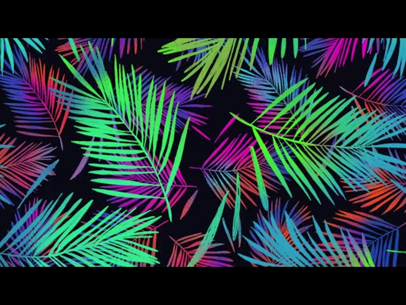 DARKNESS TURNED TO LIGHT: PALM SUNDAY 2