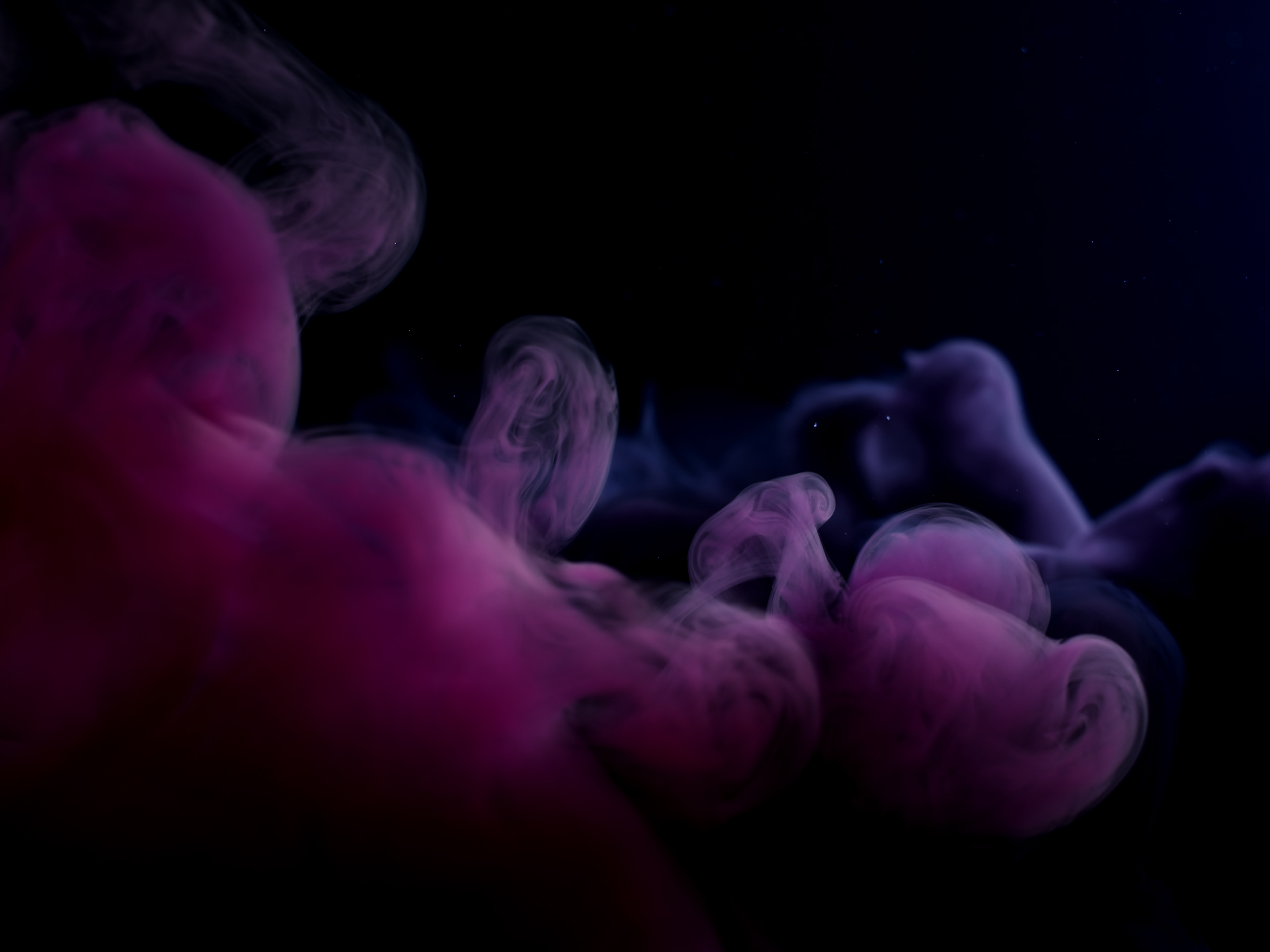 DARK PINK AND INDIGO DELAYED INDIGO (LONG PLAY)