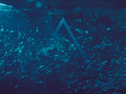 ENDLESS SUMMER TRIANGLE HIGH ENERGY