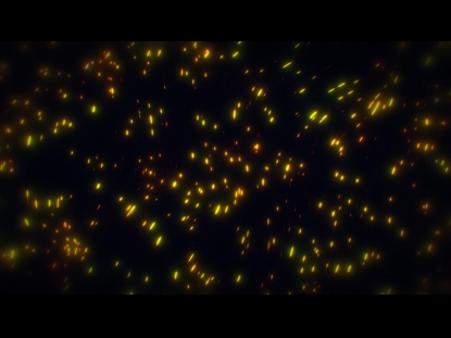 FIBER OPTIC ORANGE B