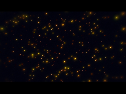 FIBER OPTIC ORANGE F