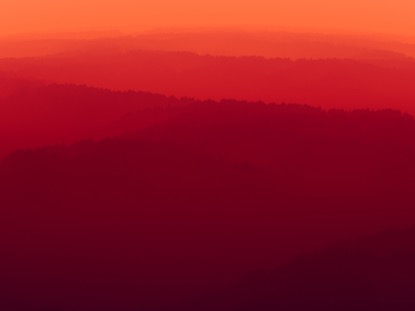 FIRE MAGIC FOREST FLIGHT