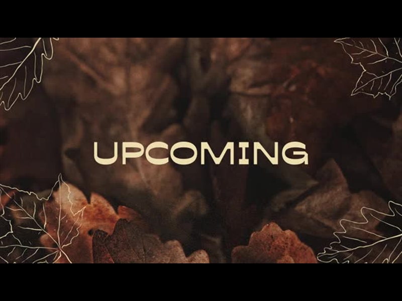 GOOD GRACE: UPCOMING