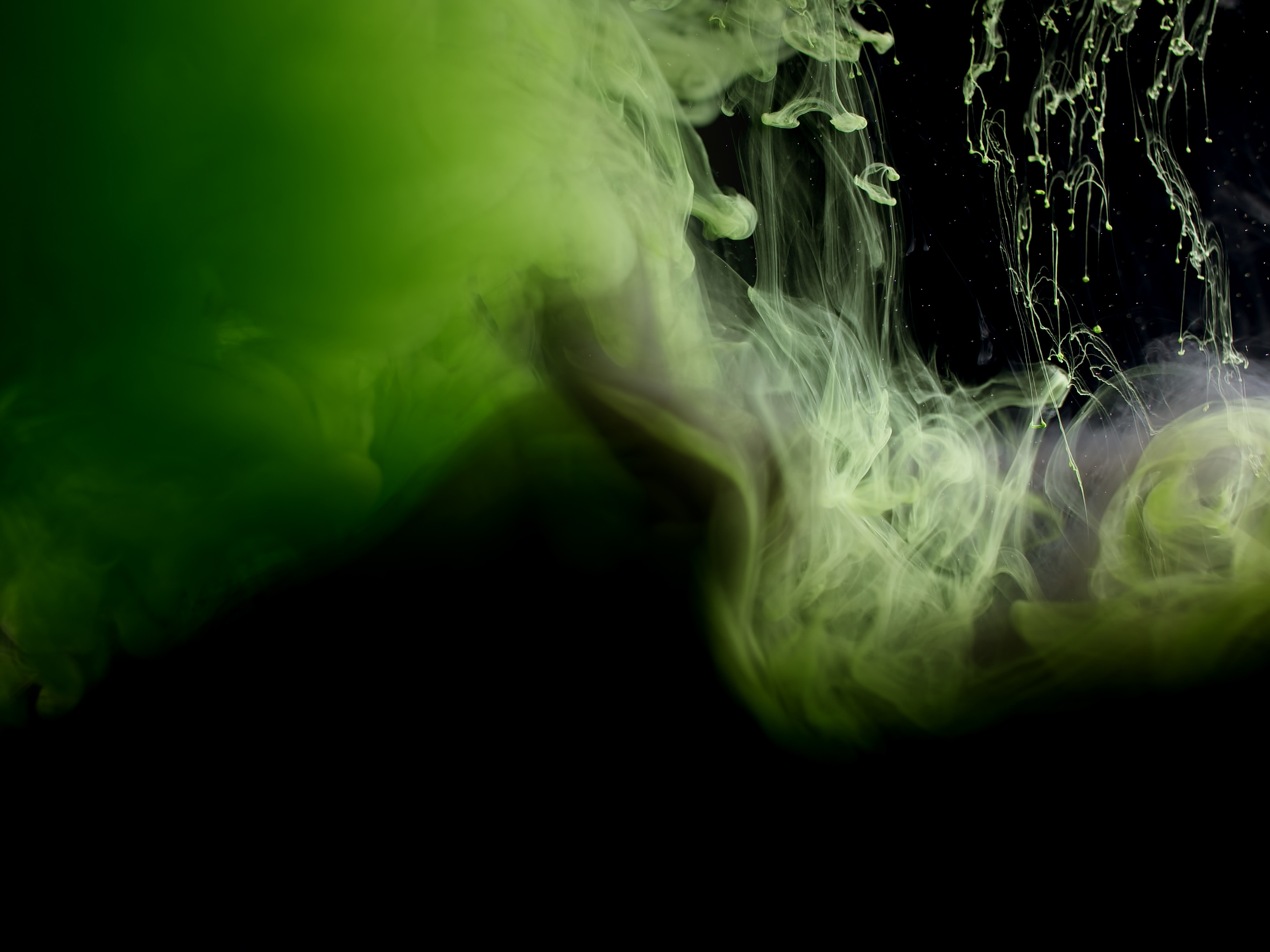 GREEN (LONG PLAY)