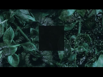 LAYERED GREENERY SQUARE