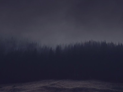 MISTY MORNING