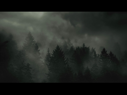 OVERCAST FOREST PLAIN