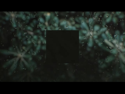 RAIN AND PLANTS ALT SQUARE