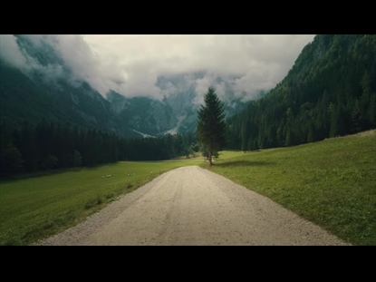 RENEW MAGIC VALLEY WITH FAUNA