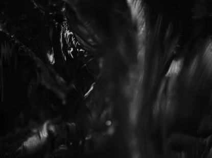 SCULPTED GLASS BW SOFT SCROLL