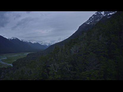 TREE COVERED MOUNTAINS