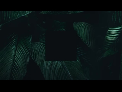 TROPICAL LEAVES FRONDS SQUARE