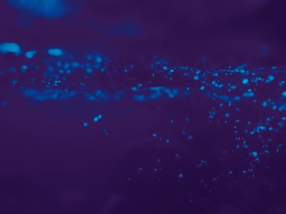 VIBRANT BLUE BUBBLES