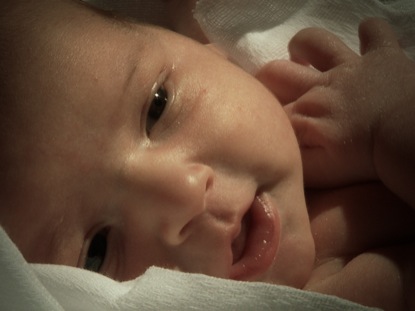 CHRISTMAS MANGER CLIP 3