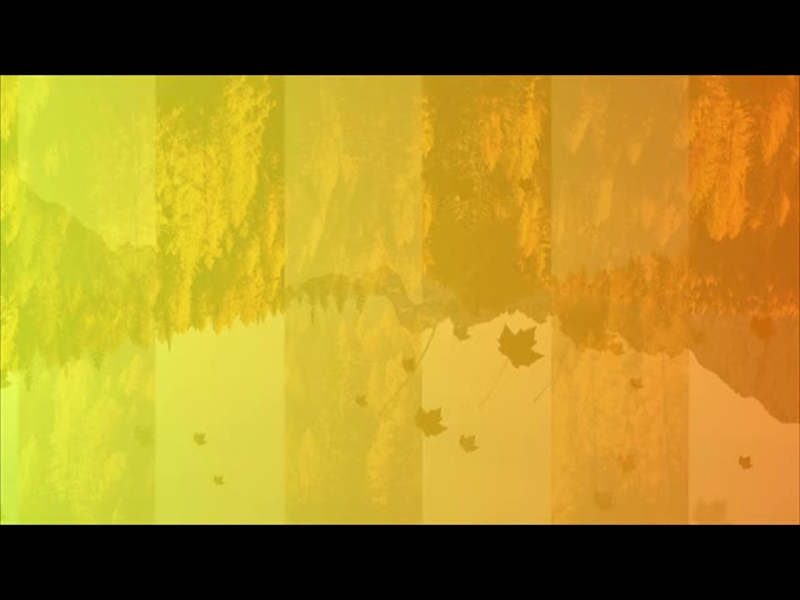 GRADIENT LEAVES MOTION 2