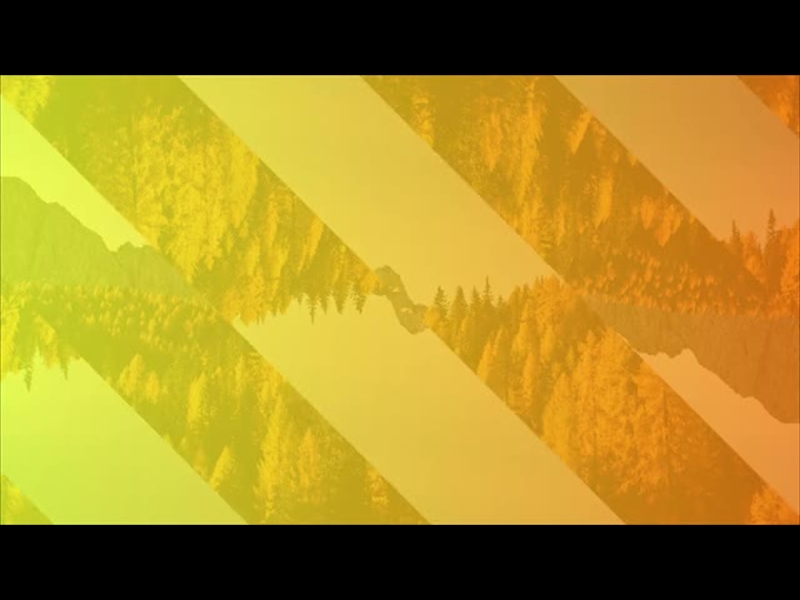 GRADIENT LEAVES MOTION 3