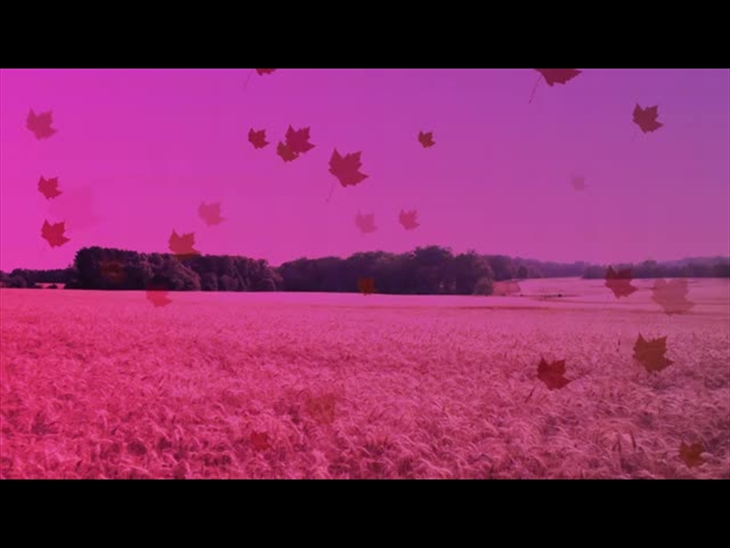 HARVEST MOTION BACKGROUND 10