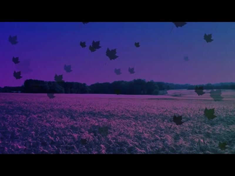 HARVEST MOTION BACKGROUND 13