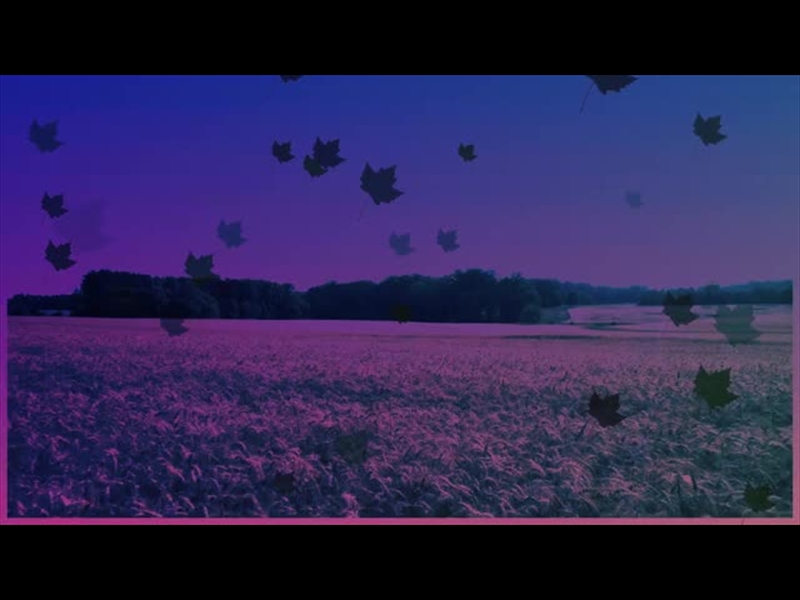 HARVEST MOTION BACKGROUND 14