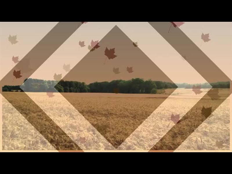 HARVEST MOTION BACKGROUND 3