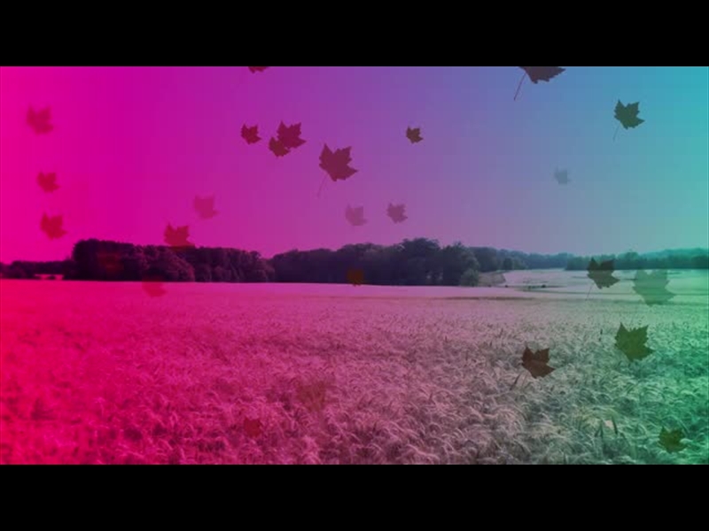 HARVEST MOTION BACKGROUND 4