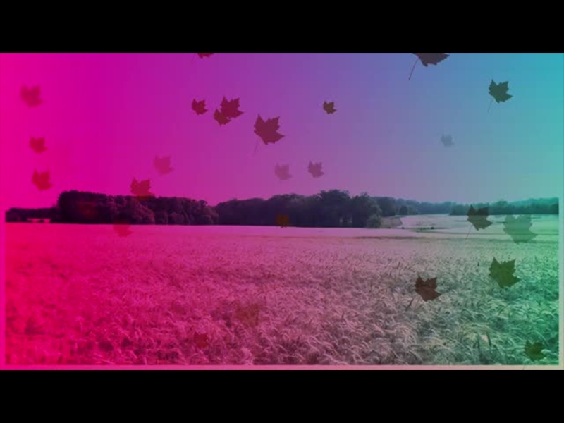 HARVEST MOTION BACKGROUND 5