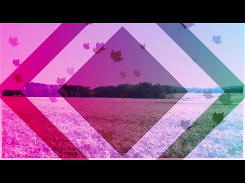 HARVEST MOTION BACKGROUND 6