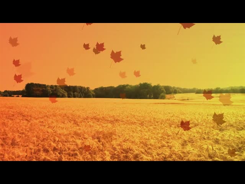 HARVEST MOTION BACKGROUND 7