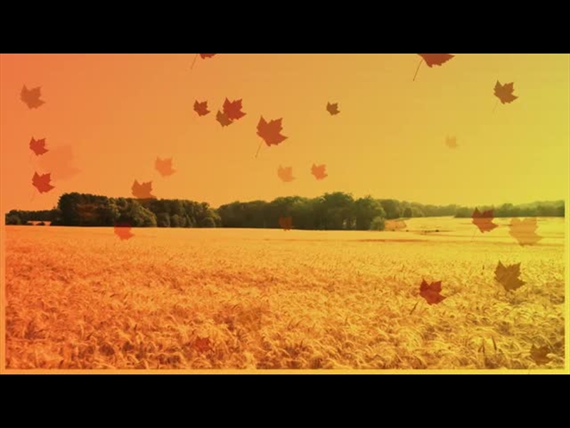 HARVEST MOTION BACKGROUND 8