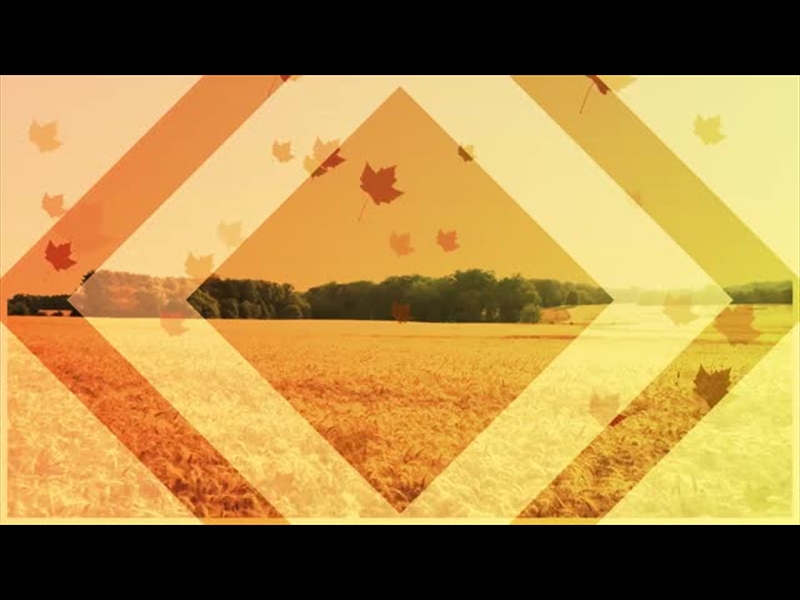HARVEST MOTION BACKGROUND 9
