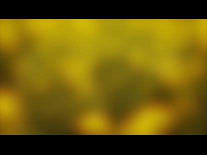 COLORS OF NATURE MOTION 3