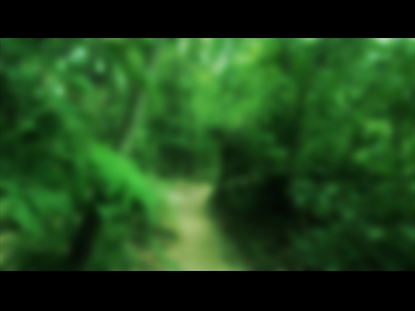 COLORS OF NATURE MOTION 5