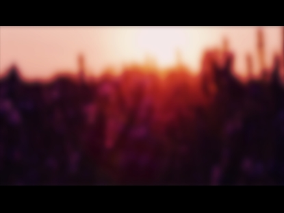 COLORS OF NATURE MOTION 8