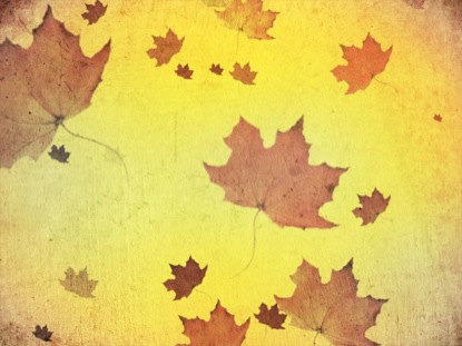 FALL LEAVES BACKGROUND