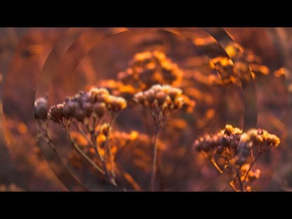 AUTUMN 1